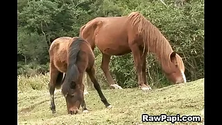12029 gays porn videos